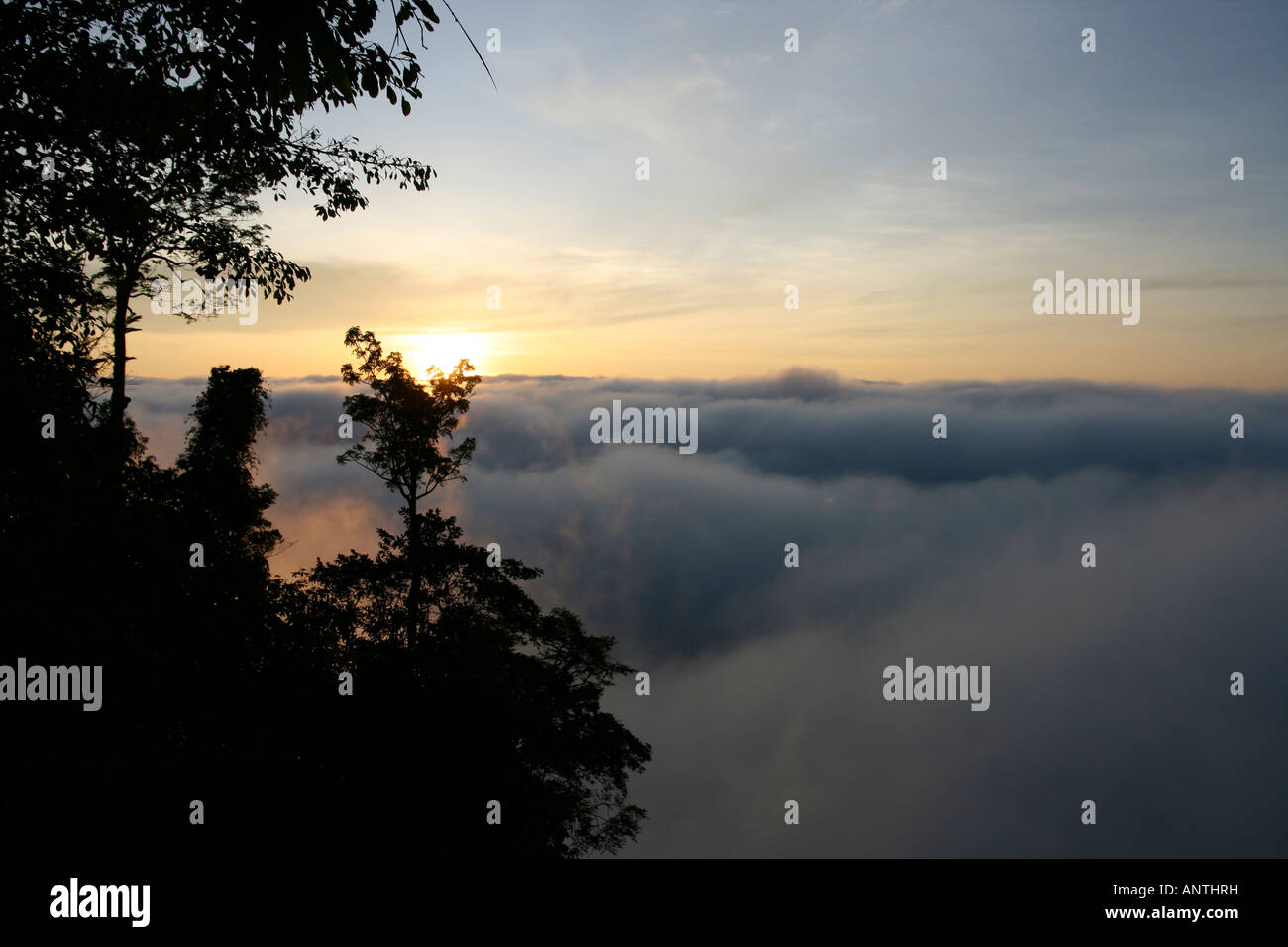 Sunrise over a cloudbank seen from halfway up Gunung Stong a mountain in Kelantan state Malaysia Asia Stock Photo