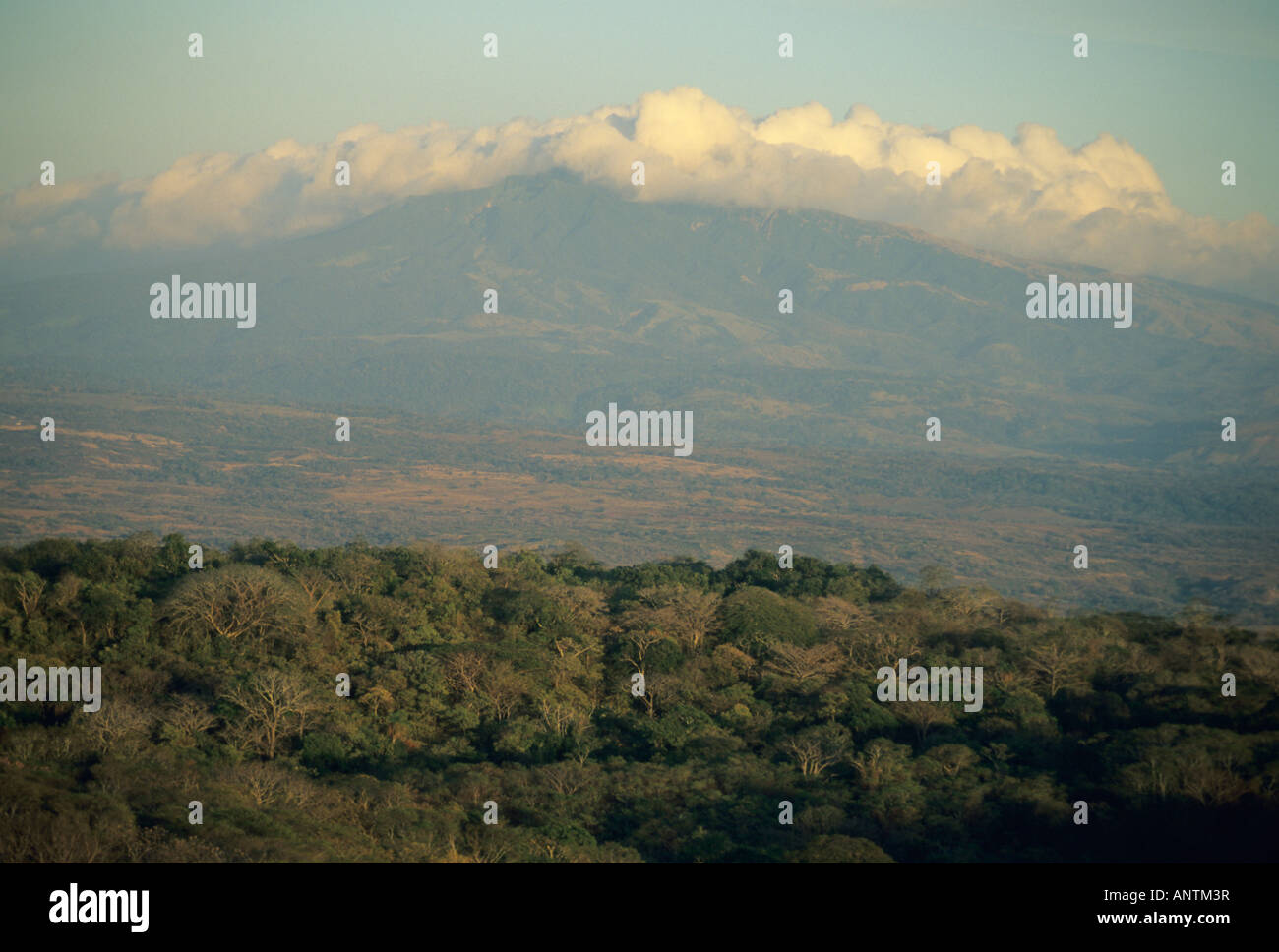 Dry season in Santa Rosa National Park, February Costa Rica Stock Photo