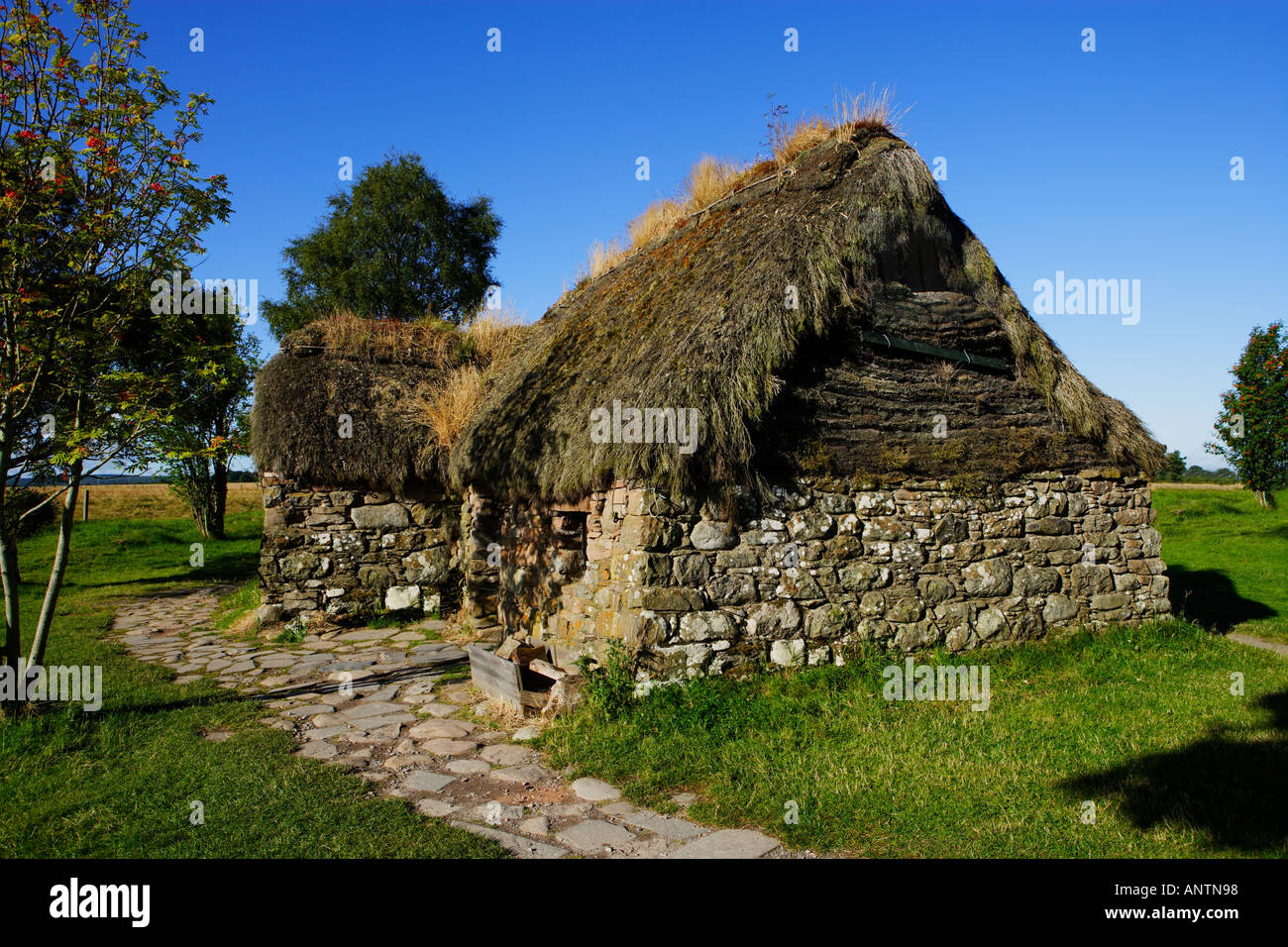 culloden battlefield traditional dwelling house reconstruction stone walls thatched roof Culloden Moor, Inverness, Scotland Stock Photo