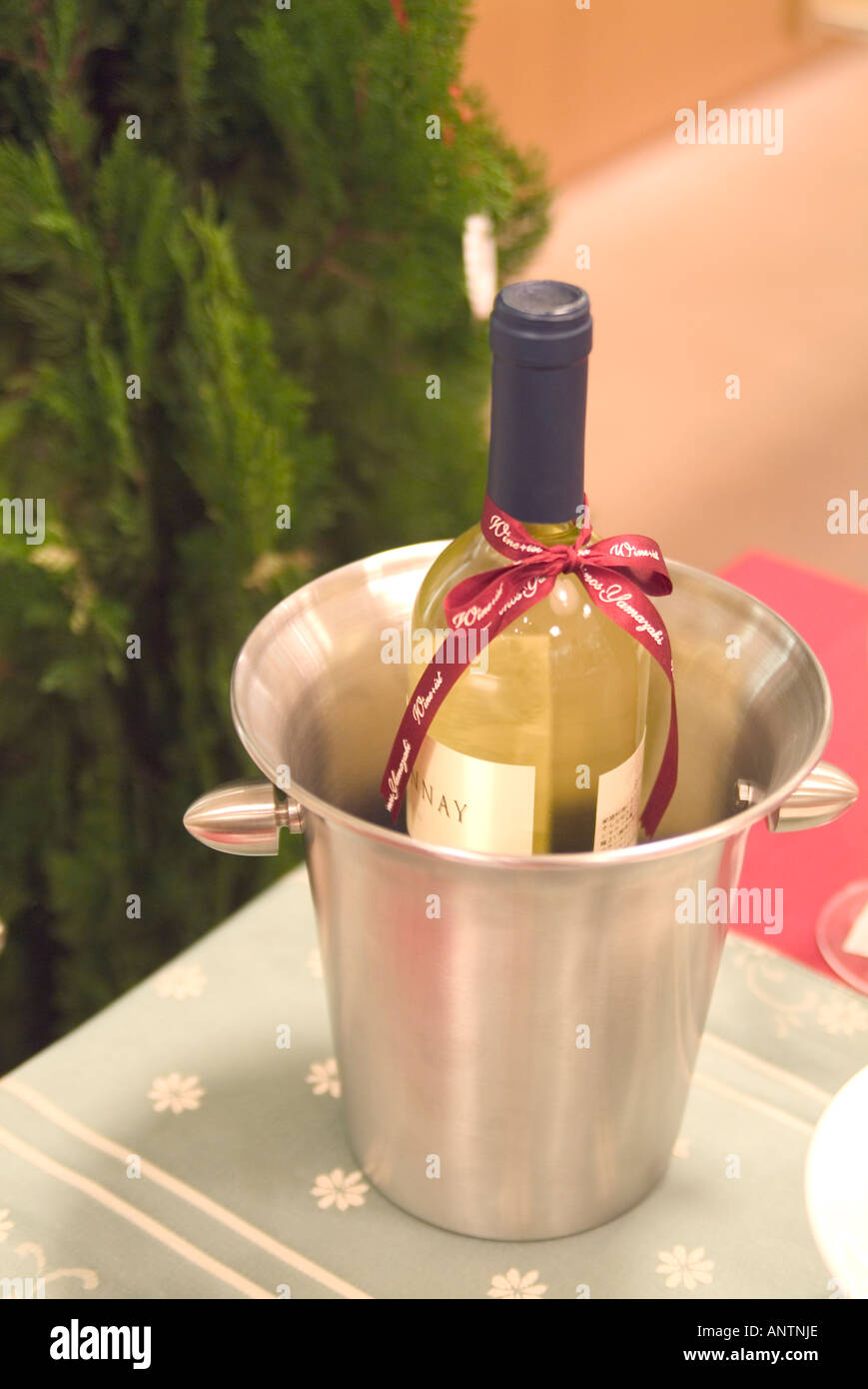 Bottle of wine in ice bucket Stock Photo Alamy