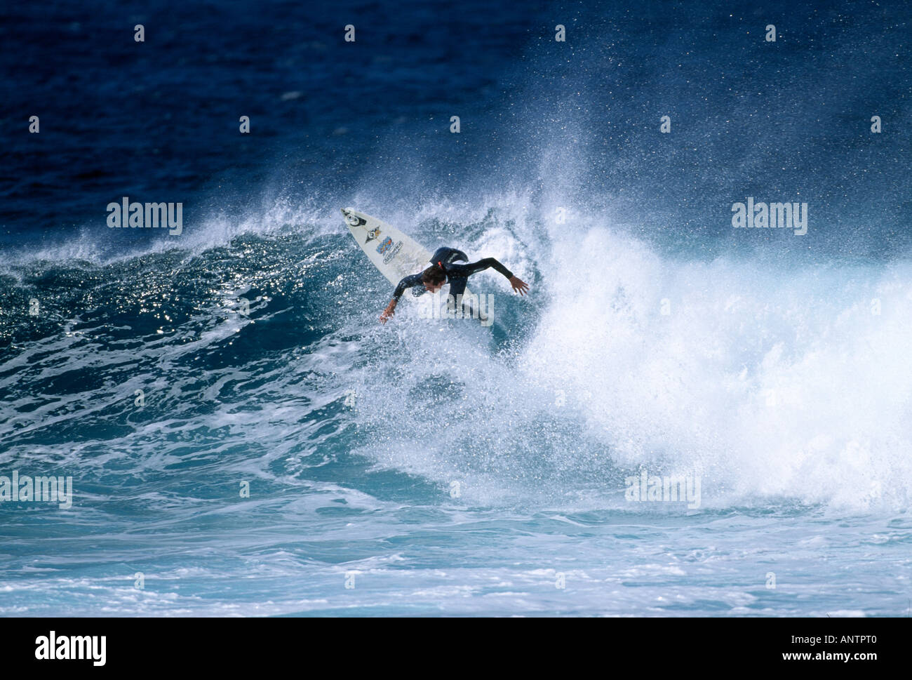Riding success hi-res stock photography and images - Alamy