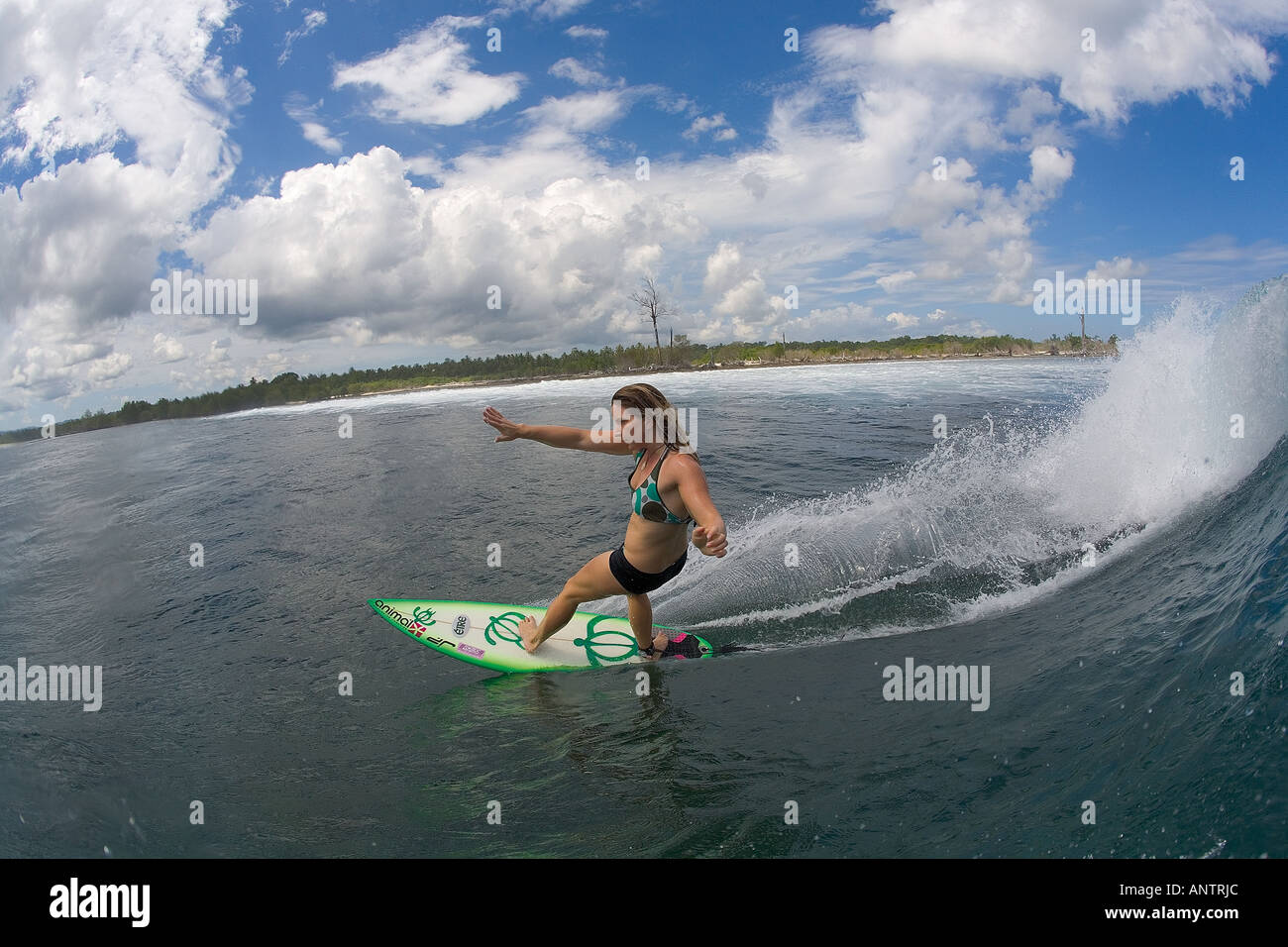 SURFER RIDING WAVE AT SPEED INDONESIA Stock Photo - Alamy