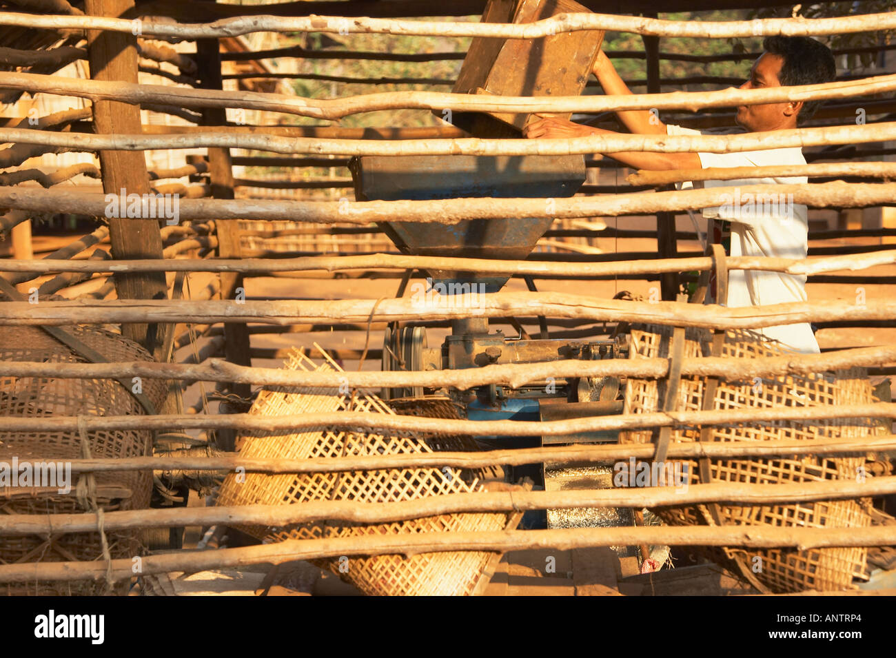Man Using Machinery To Sort Rice Stock Photo - Alamy