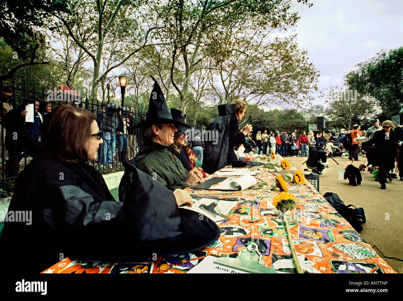 Judges judging canine Halloween costume contest Stock Photo Alamy