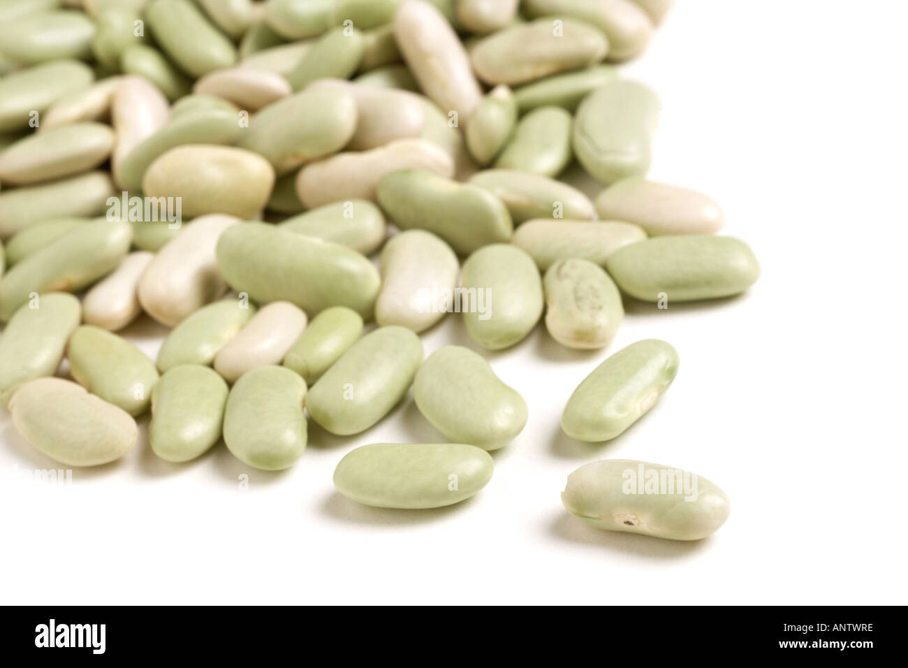 Dried Flageolet Beans on white background Stock Photo Alamy
