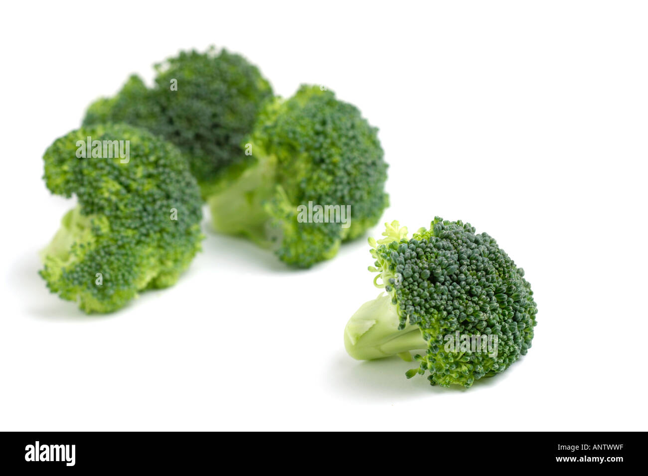 Florets of Broccoli on white background Stock Photo Alamy