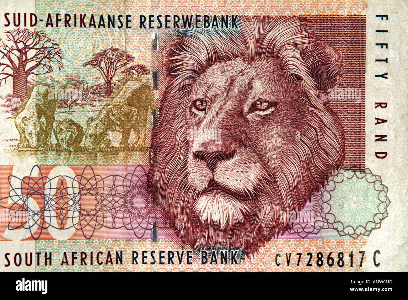 The Bulgarian lion. Leo is a currency. The rate of the Bulgarian leva The Bulgarian lion. Leo is a currency. The rate of the Bulgarian leva
