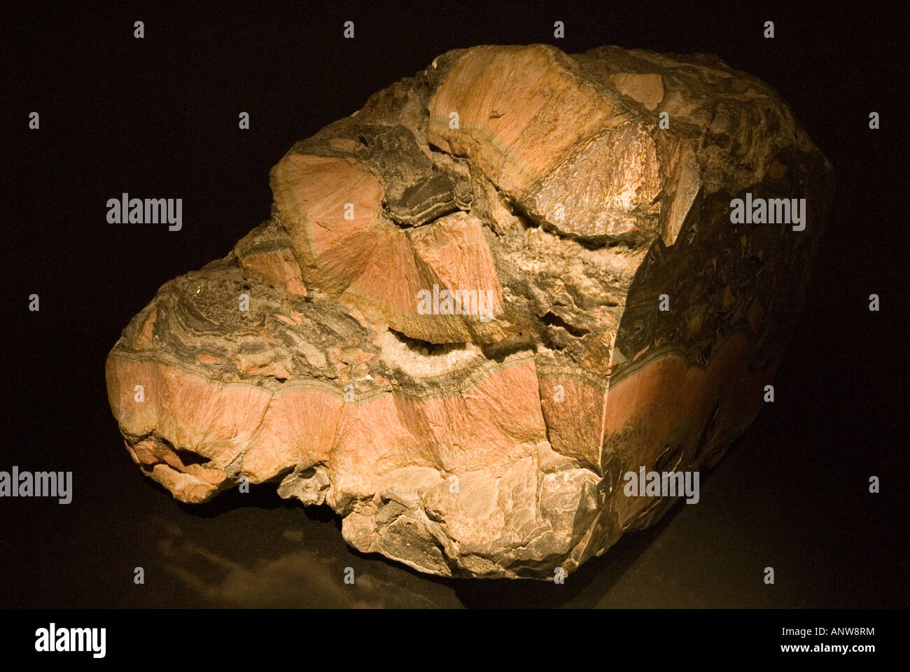 Natural History Rocks Natural History Museum rock London Stock Photo - Alamy