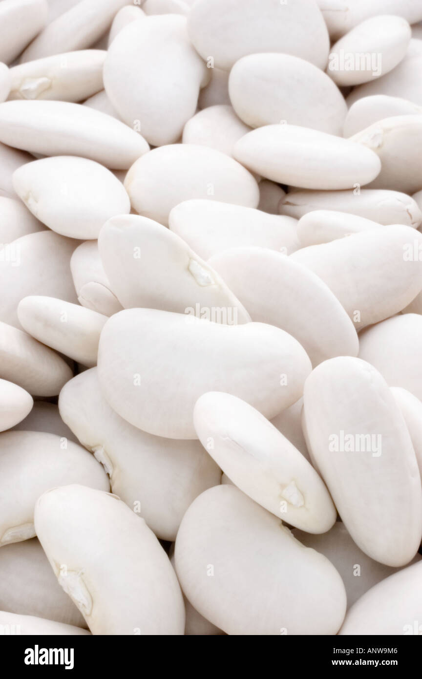 Butterbeans High Resolution Stock Photography and Images - Alamy