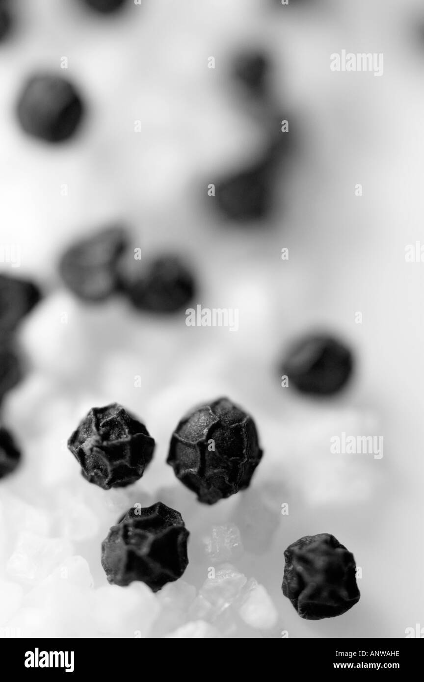 Salt and pepper Stock Photo Alamy
