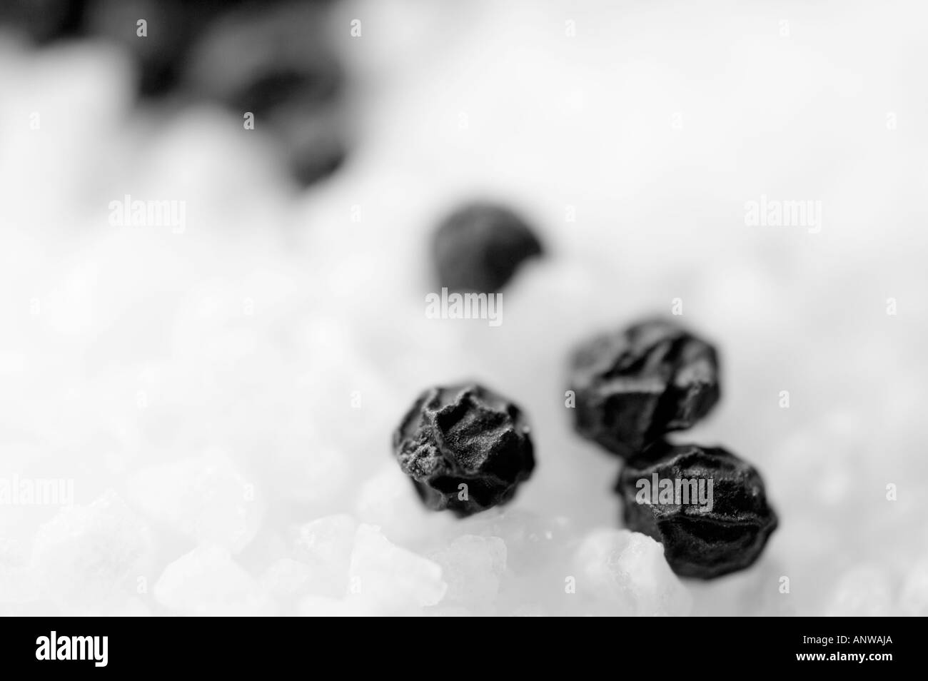 Salt and pepper Stock Photo Alamy