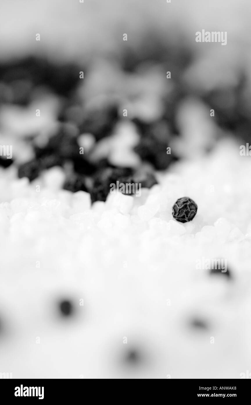 Salt and pepper Stock Photo Alamy