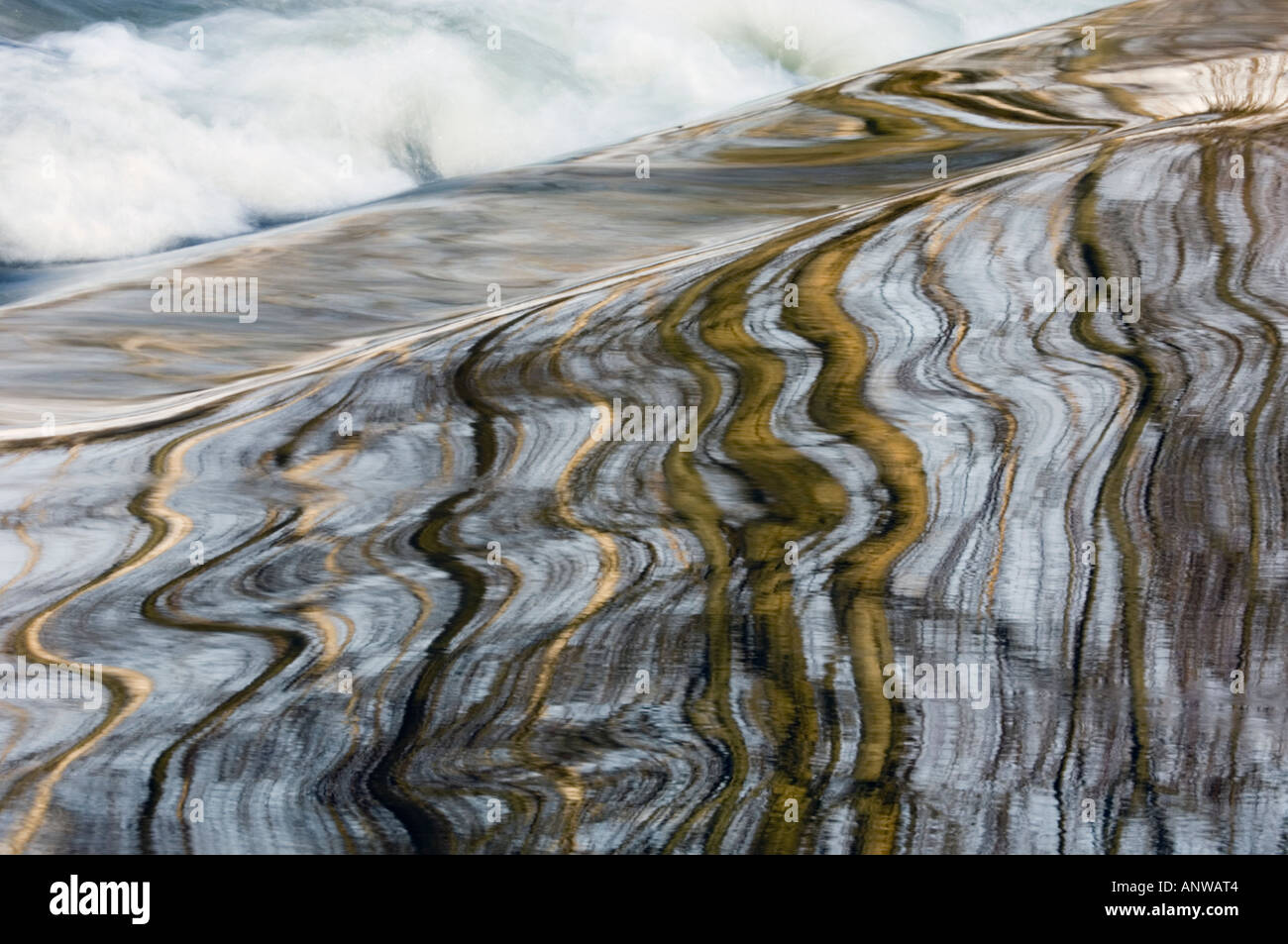 Distorted tree colors hi-res stock photography and images - Alamy