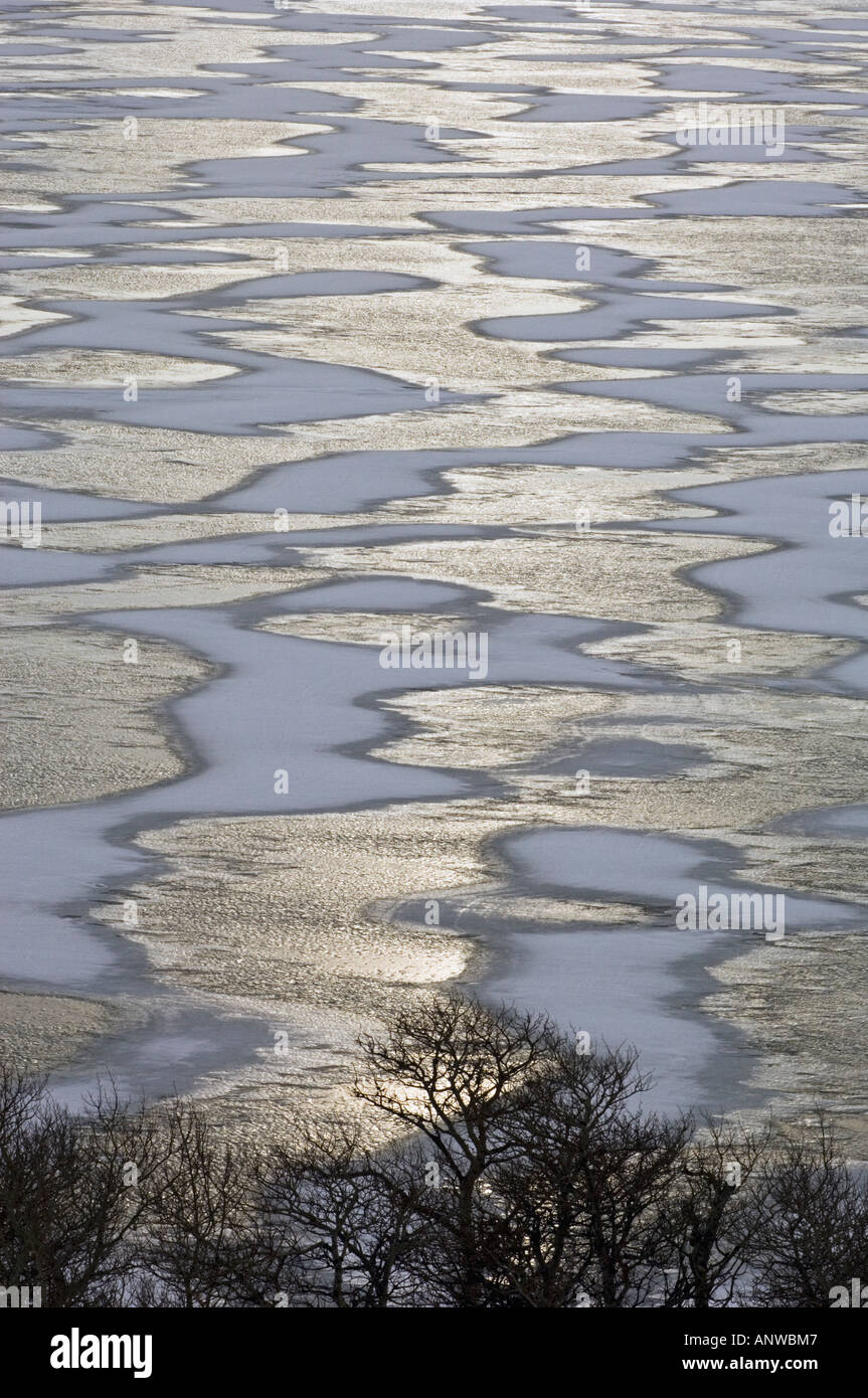Windswept snow patterns on frozen Lower Waterton Lake, with shoreline oak , Waterton Lakes