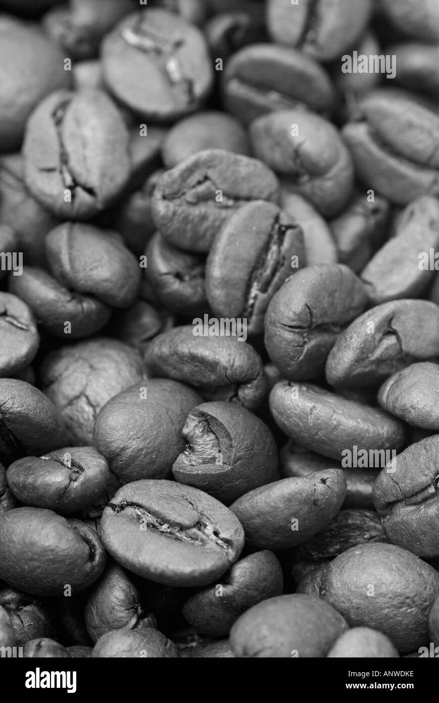 Texture coffee beans roasted Black and White Stock Photos & Images - Alamy