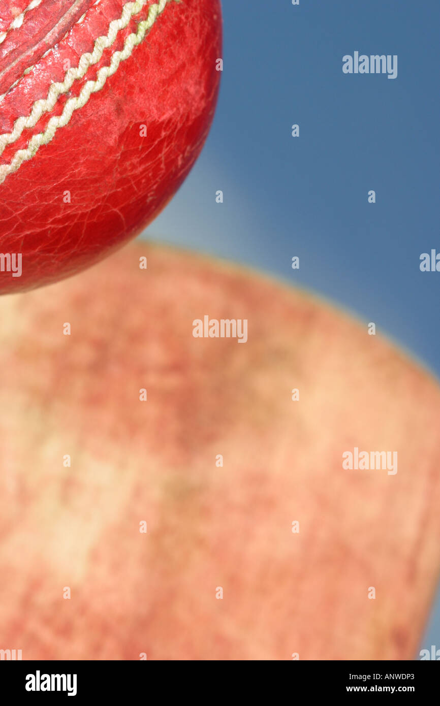 Cricket ball and cricket bat Stock Photo Alamy