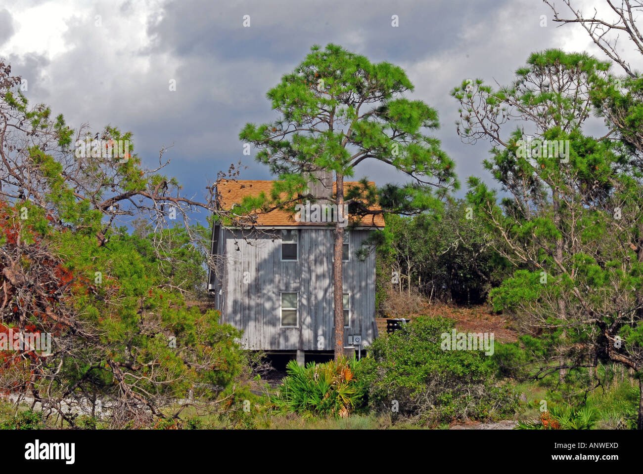 Florida St Joe Joseph Peninsula State Park Rental Cabin Stock