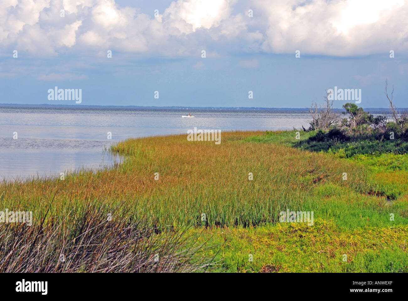 Florida St Joe Joseph Peninsula - Florida St Joe Joseph Peninsula State Park ANWEXF