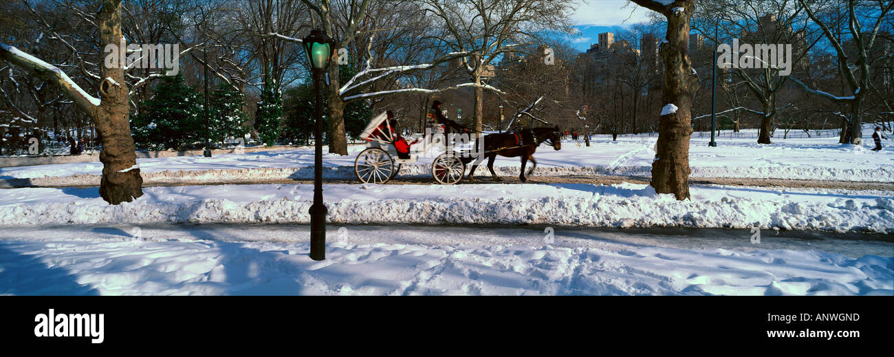 Panoramic view of snowy city street lamps horse and carriage in Central Park Manhattan New York City NY on a sunny winter day Stock Photo
