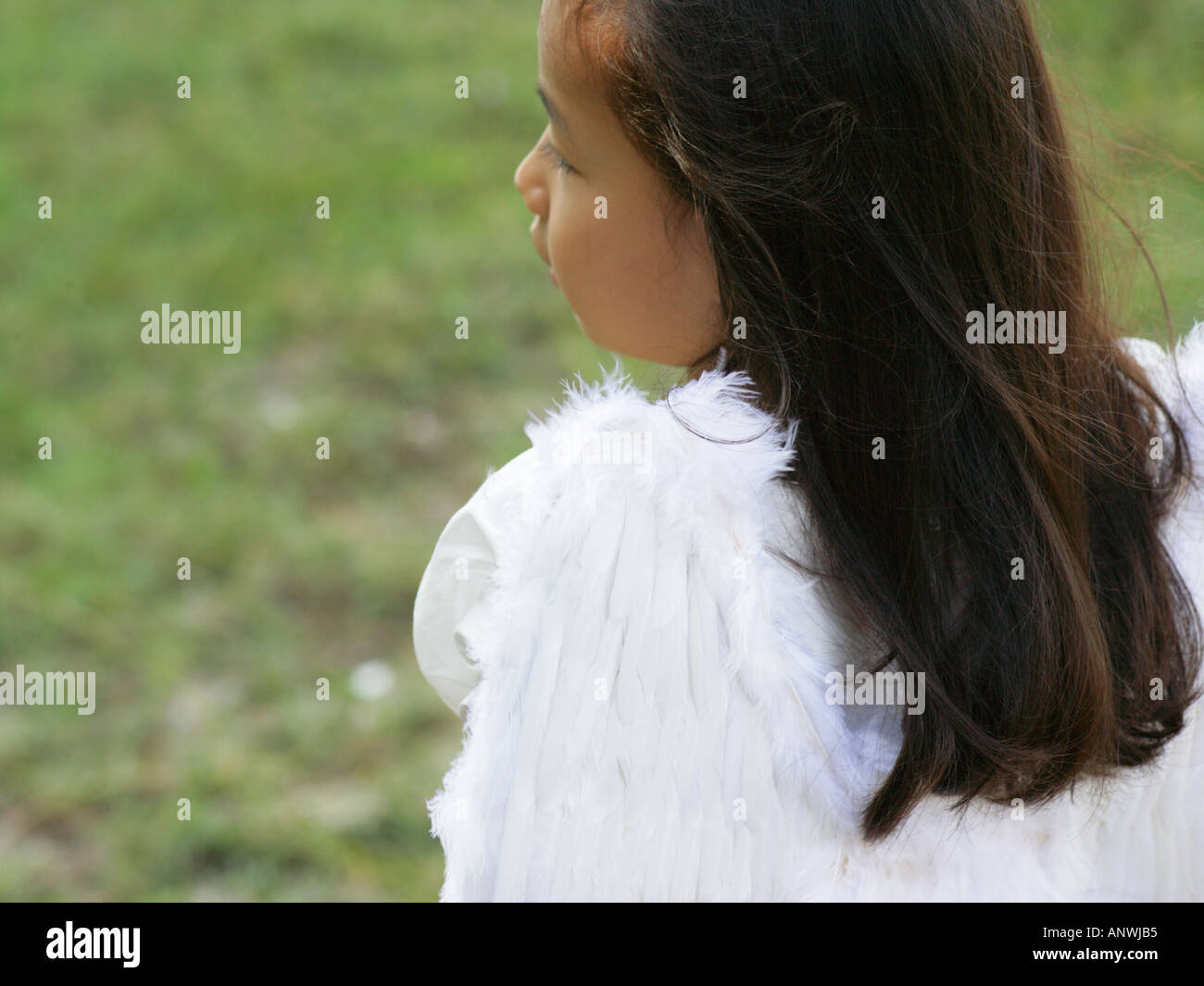 Rear view of a girl dressed as a fairy Stock Photo - Alamy