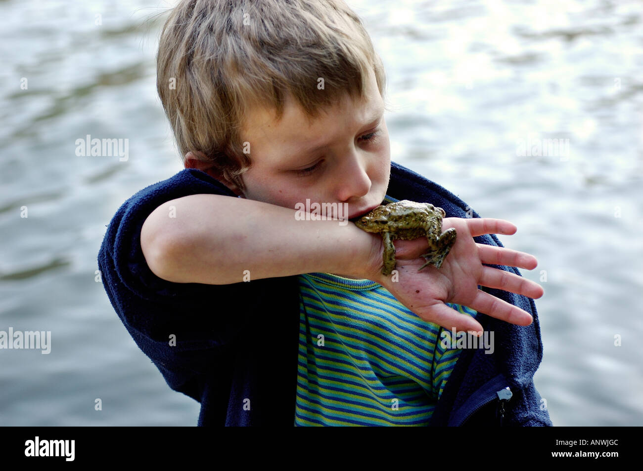 Child seven-year-old smooching with common European toad ( Bufo bufo ) lying on his arm Stock Photo