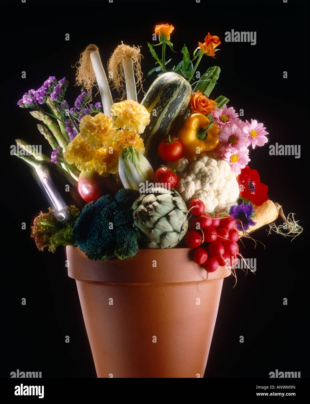 Home Grown vegetables in garden pot Stock Photo