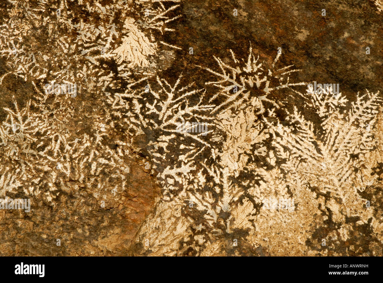 Natural Forms Rocks Drawings art forms in nature,pattern made on rock by a river,natural Stock Photo ...