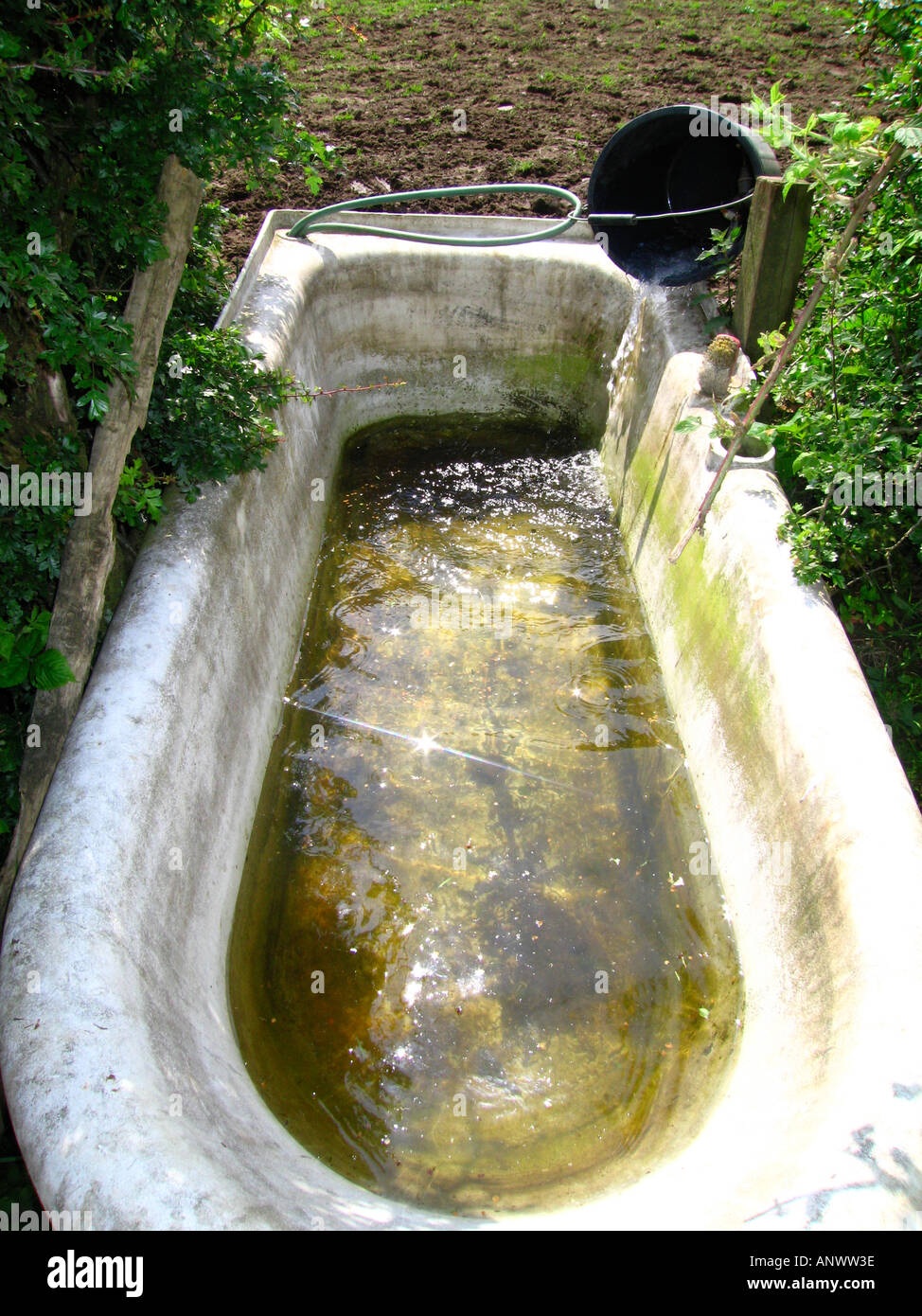 Old bath as water trough in field Stock Photo Alamy