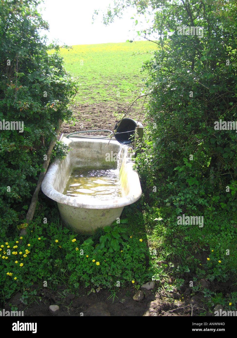 Bath used as water trough hi-res stock photography and images - Alamy