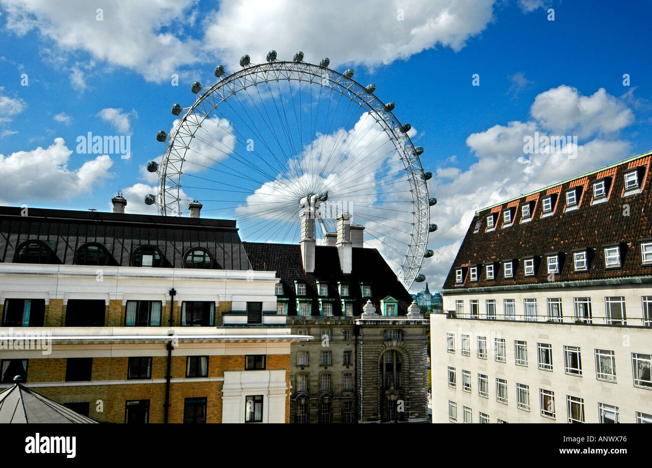london eye from north block county hall south bank london england uk ...