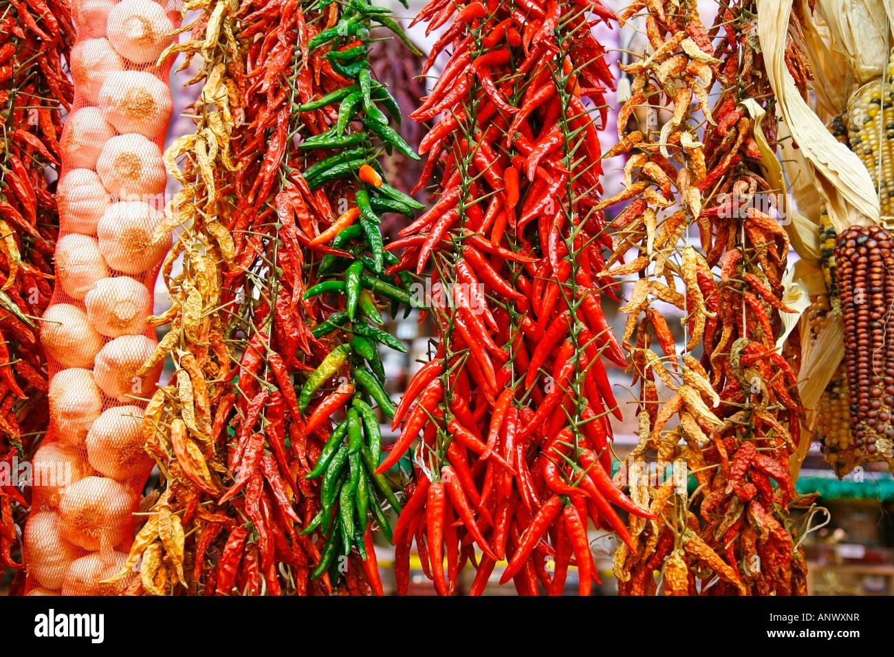 String of chilies hi-res stock photography and images - Alamy