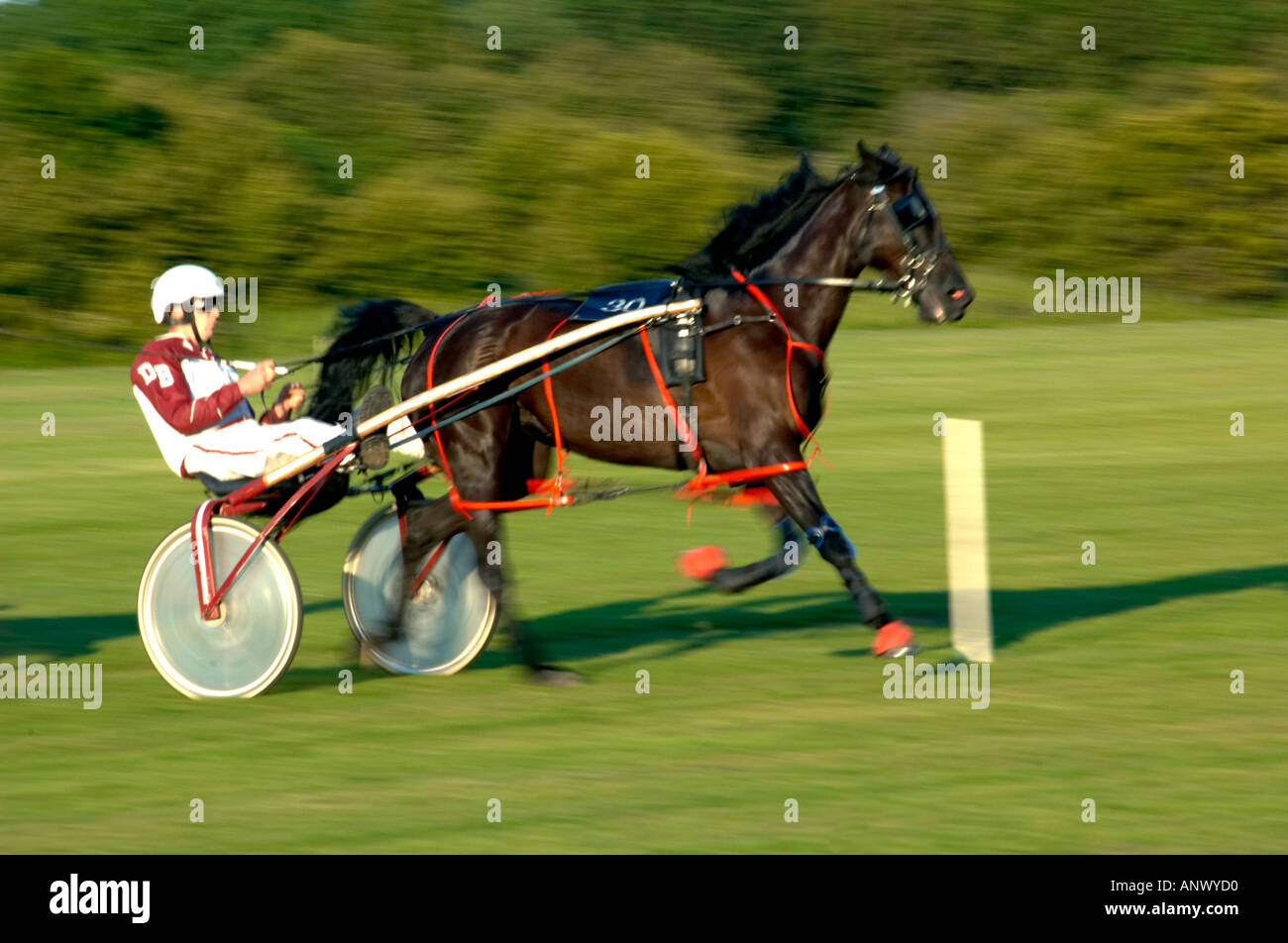Sulky race hi-res stock photography and images - Alamy