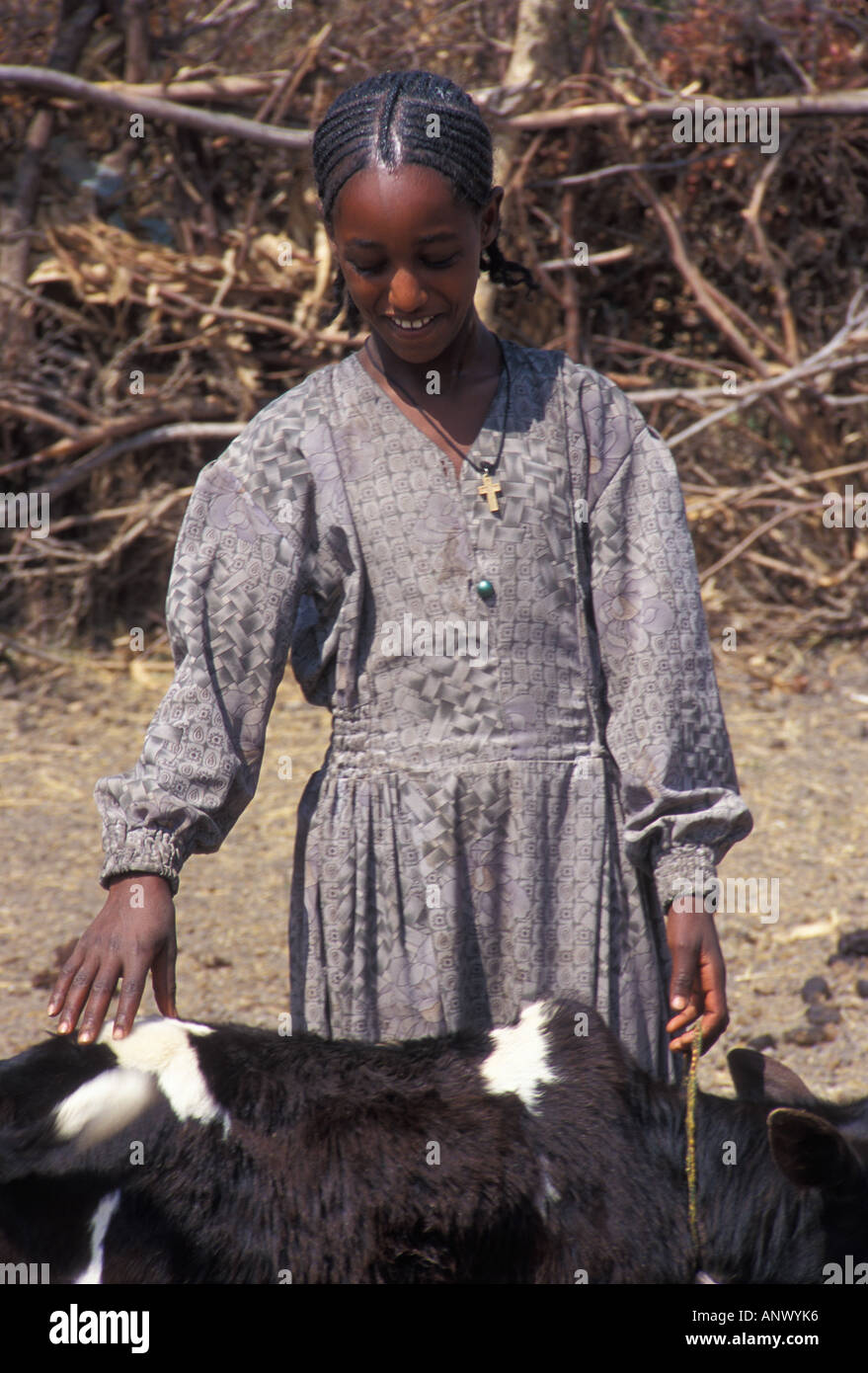 Africa, Ethiopia, Young African girl looking after the livestock in an Oromo village Stock Photo