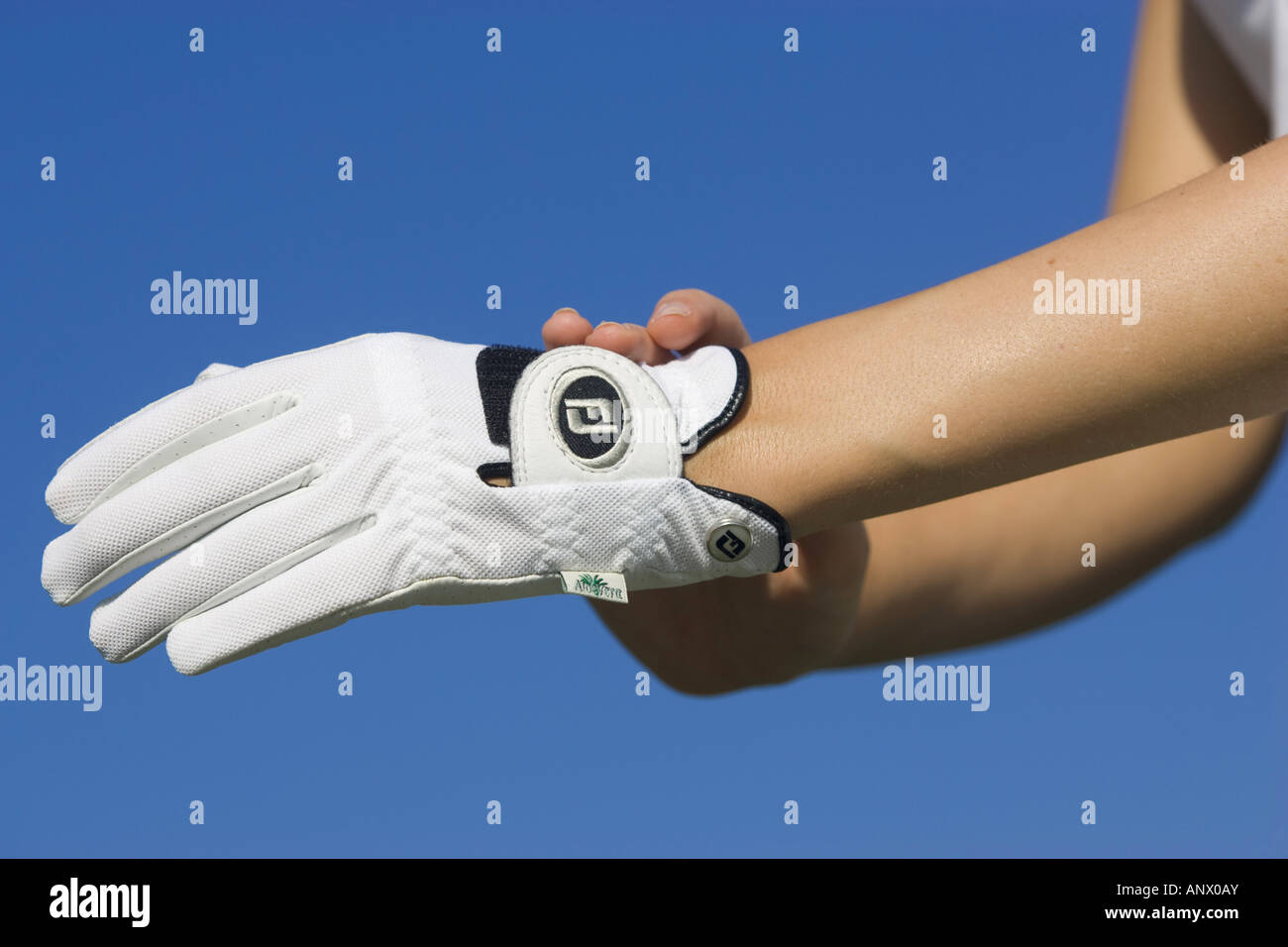 female golfer putting on her golf glove Stock Photo Alamy