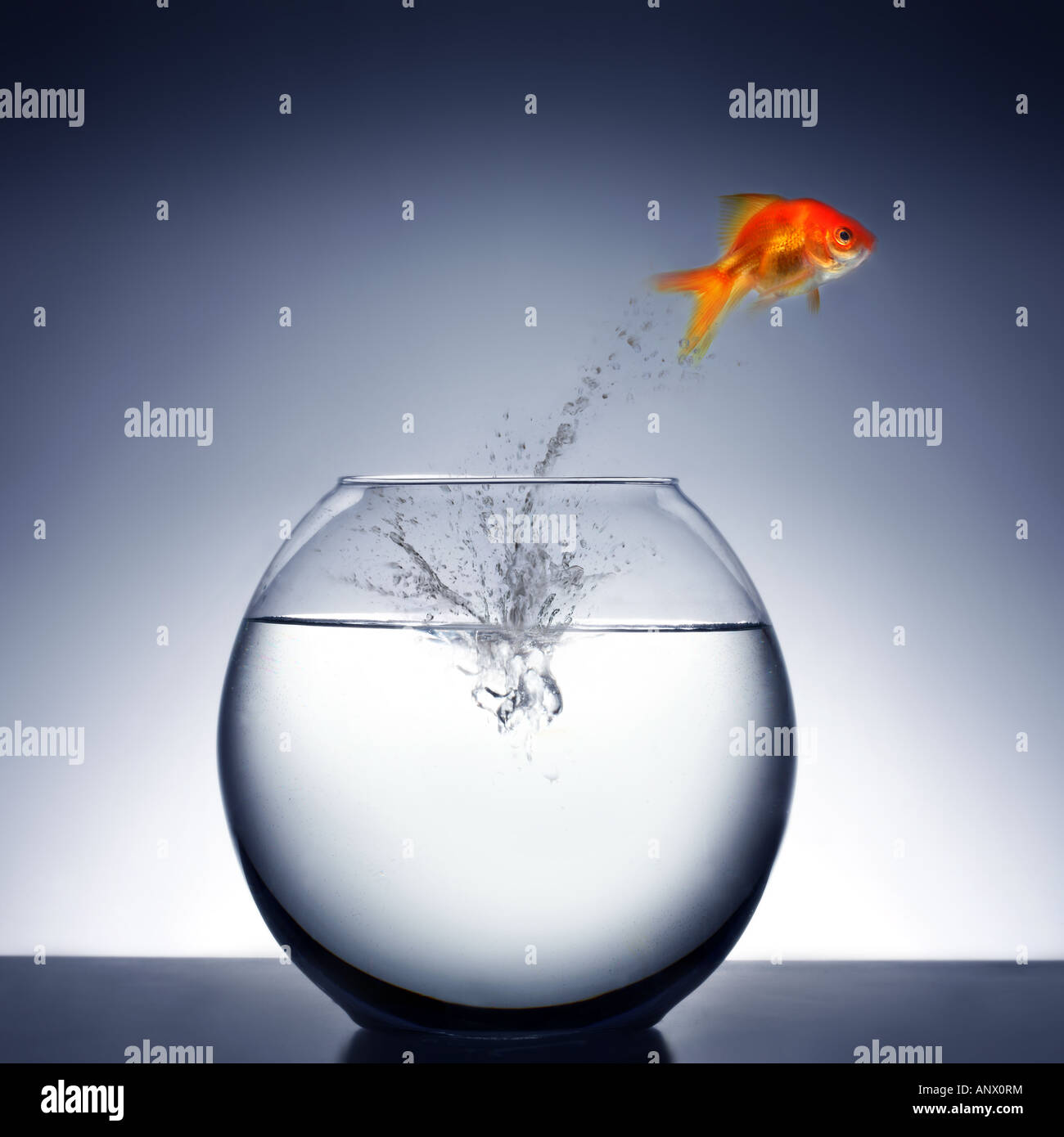 My Image 3