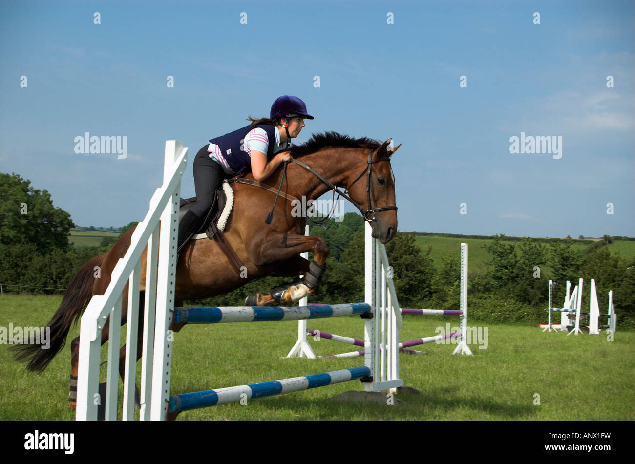 Horse and Rider Show Jumping Stock Photo - Alamy