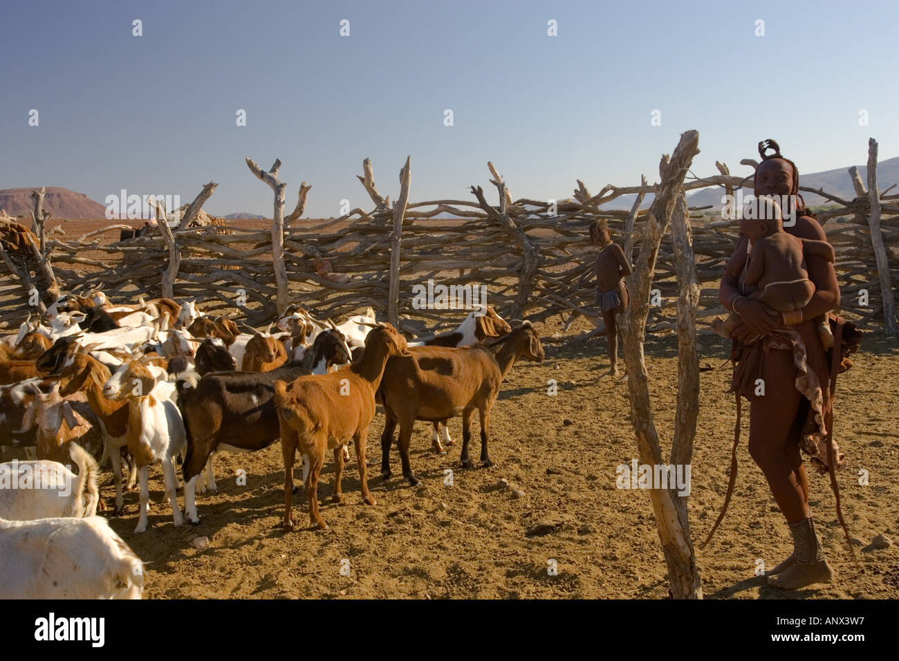 Himba Child With Goat High Resolution Stock Photography and Images - Alamy