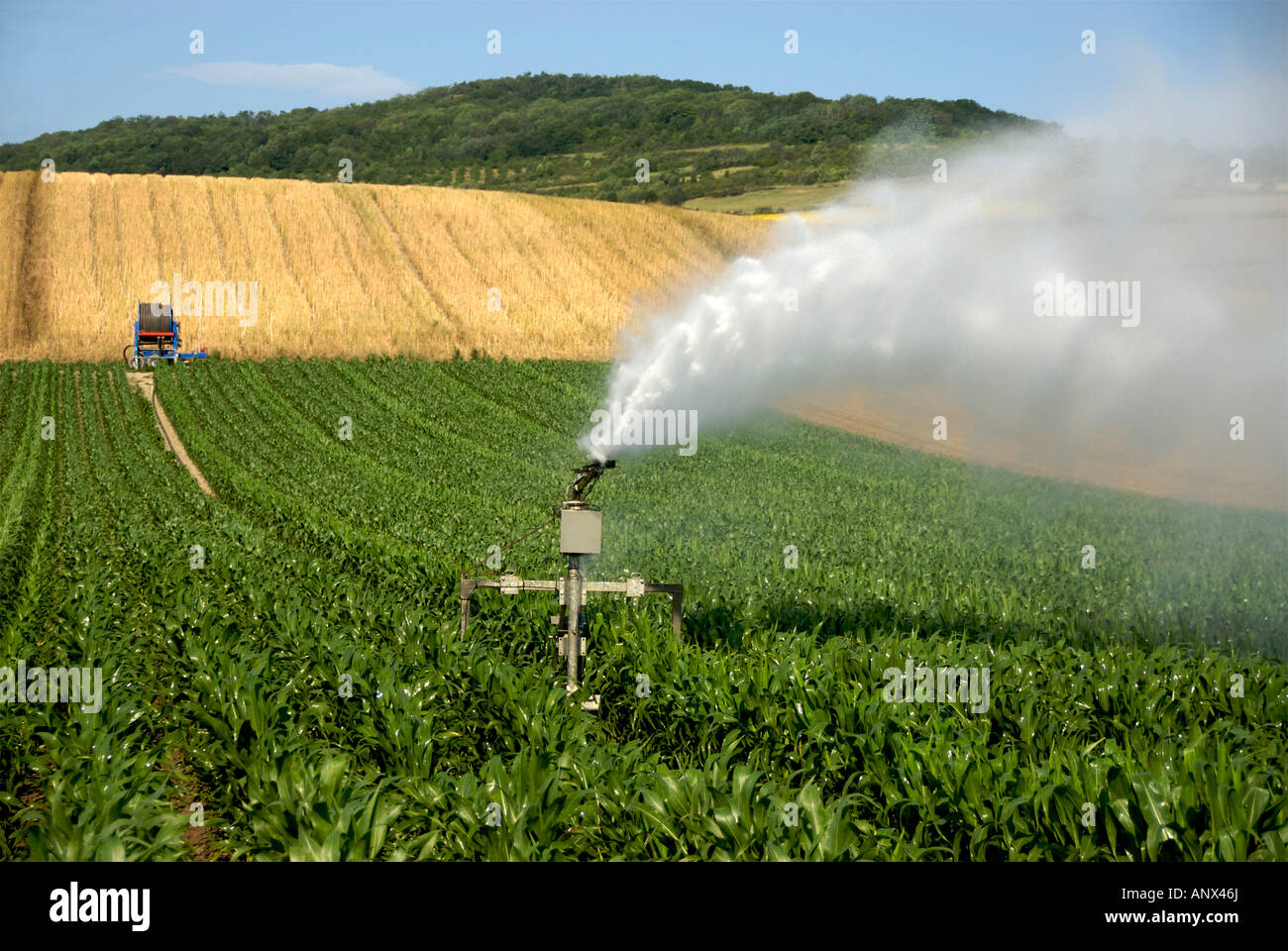 Sprinkler installation irrigating a field of maize in France, Europe Stock Photo