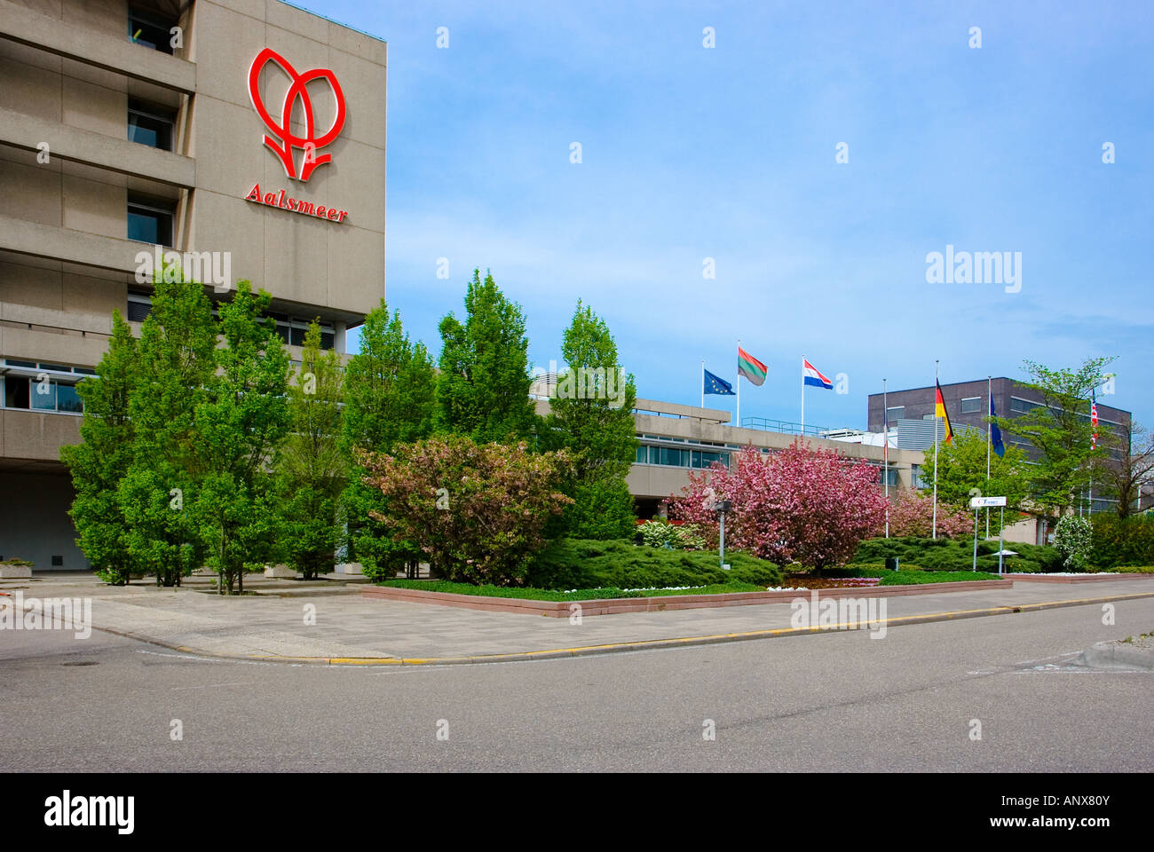 Flower Auction Offices in Aalsmeer, Netherlands Stock Photo