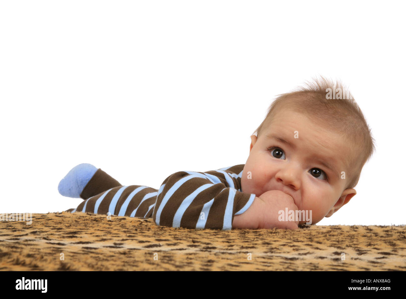 portrait of a baby lying on a blanket with thumb in mouth Stock Photo Alamy