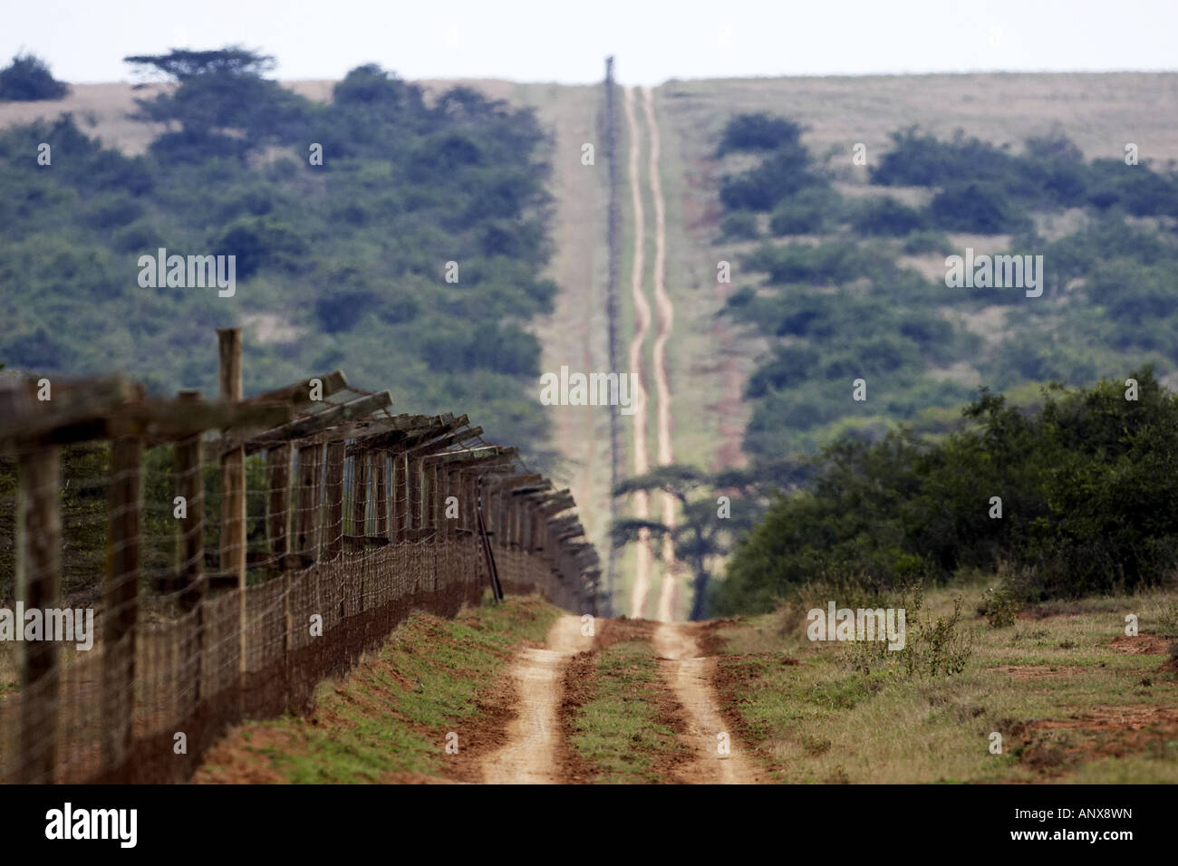 fence of the ranch, Kenya, Solio Ranch, Nanyuki Stock Photo Alamy