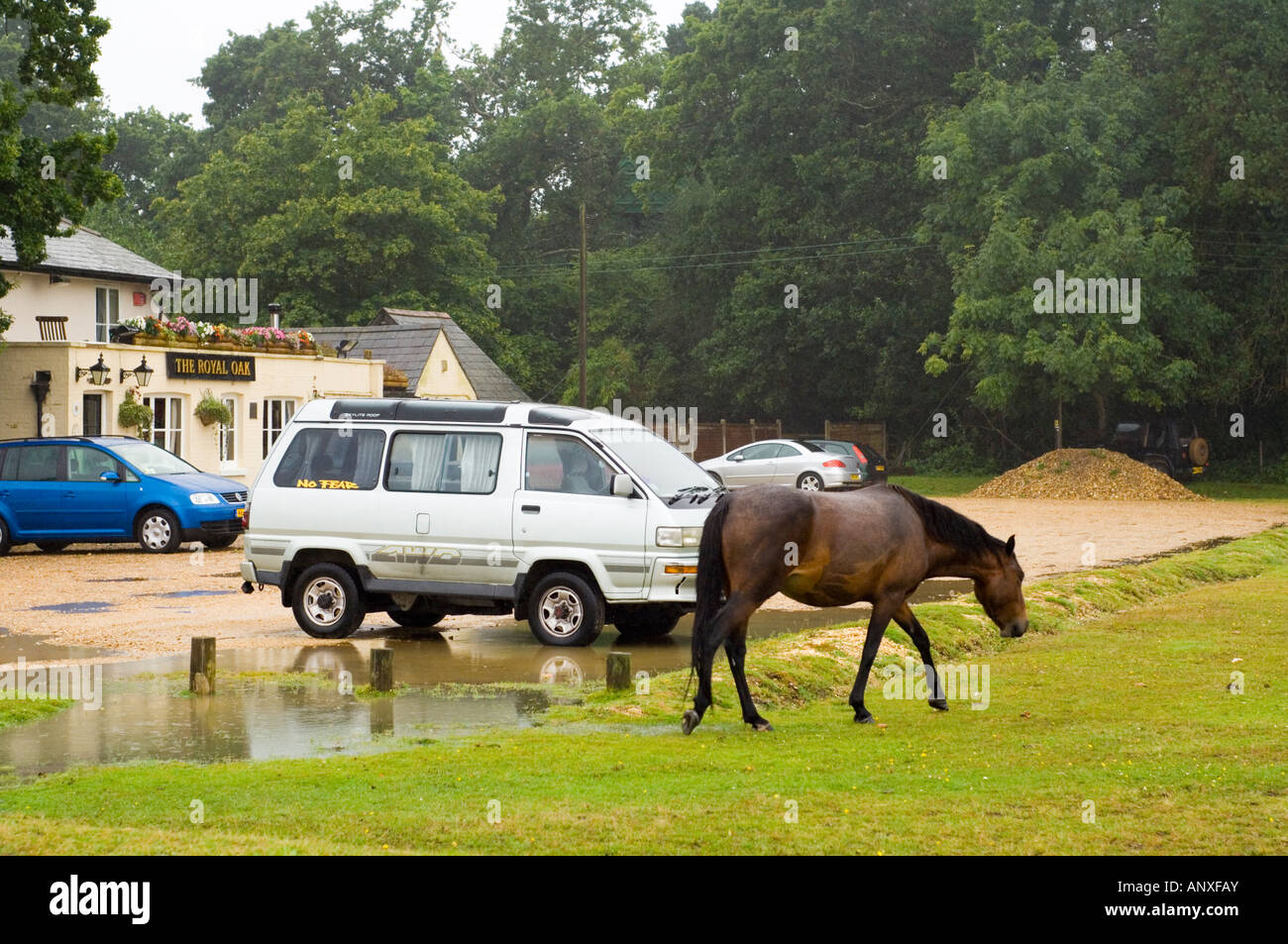 Horse and cars in the rain at the Royal Oak pub at Hilltop, near Beaulieu in the New Forest Stock Photo