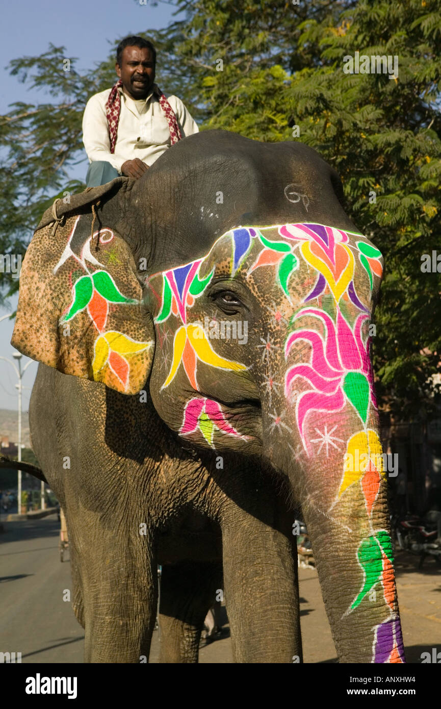 INDIA, Rajasthan, Jaipur Mahout (elephant handler) with painted