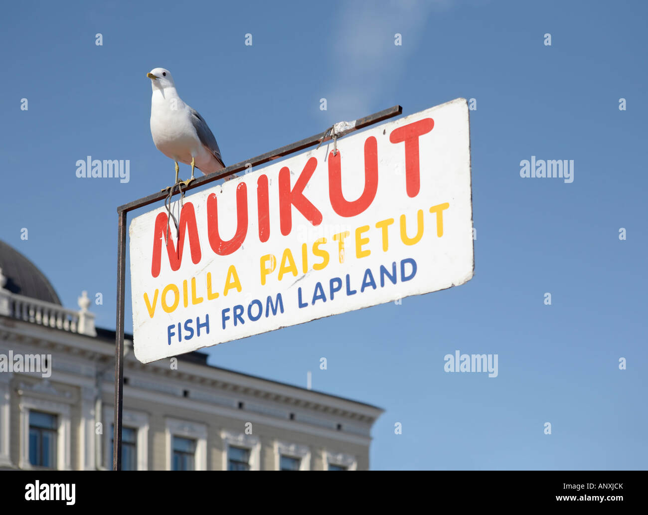 A seagull sitting on a sign advertising Vendace fried in butter at the Market Square (Kauppatori), Helsinki, Finland Stock Photo