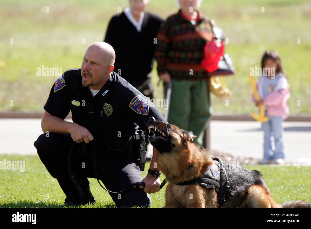 Police Officer with his K 9 partner yelling at a suspect while the dog continues to bark at a demonstration at a safety fair Stock Photo