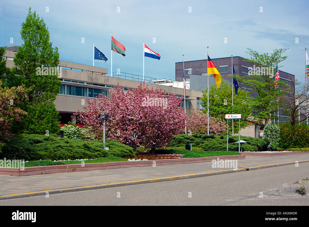 Flower Auction Offices in Aalsmeer, Netherlands Stock Photo