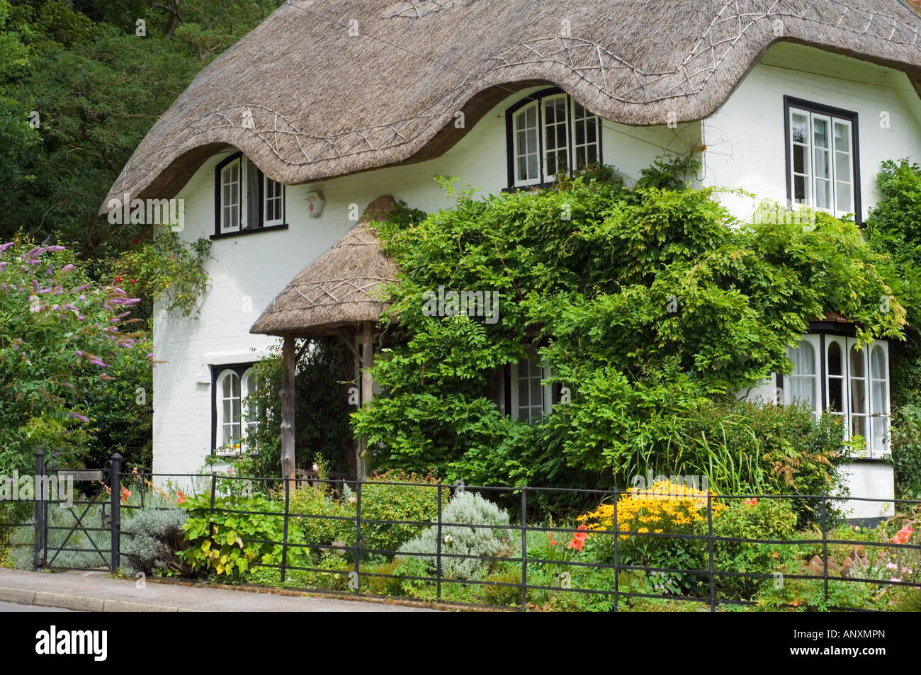 Beehive Cottage at Lyndhurst in the New Forest Stock Photo Alamy
