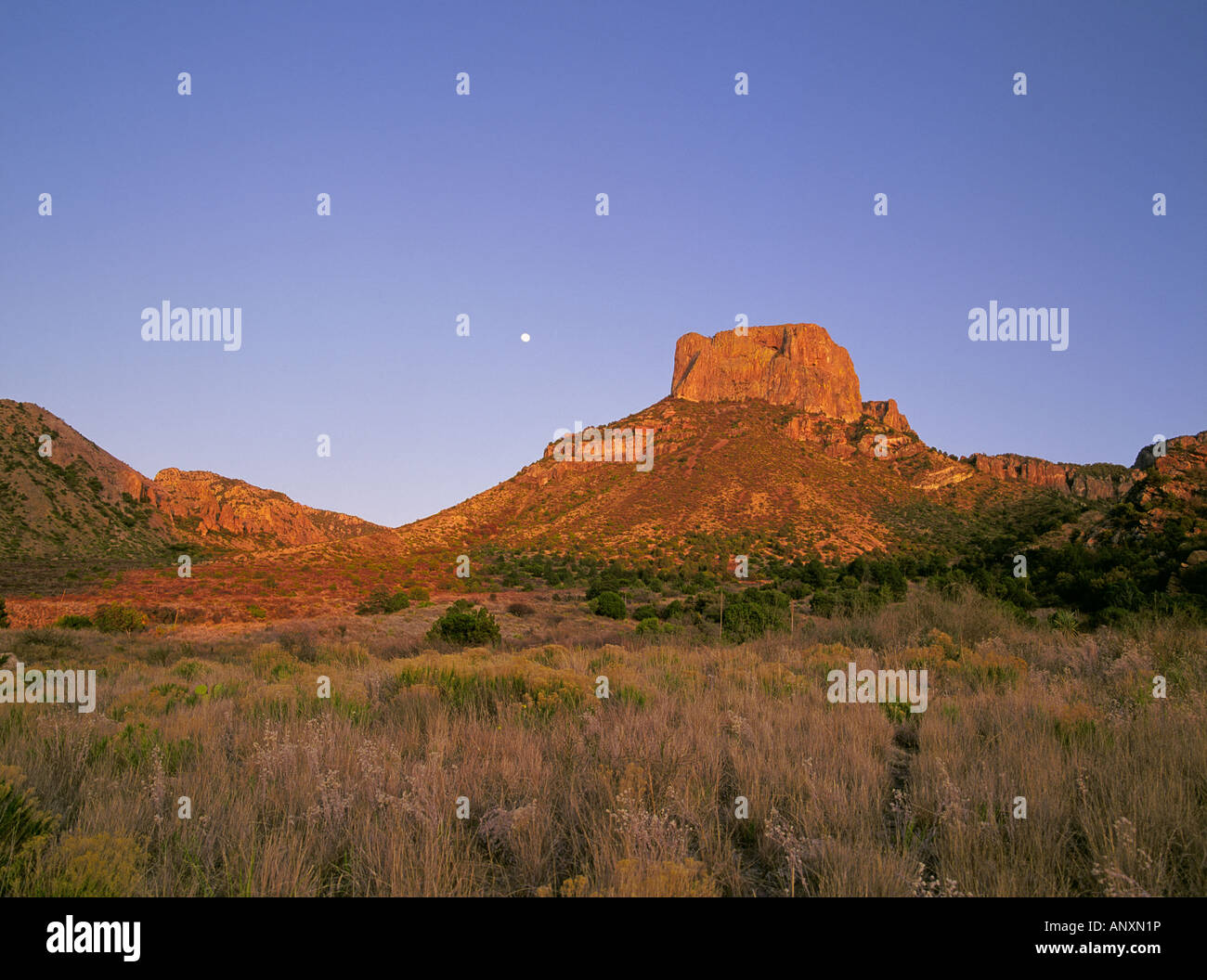 Moonrise over the Chisos Mountains in Big Bend National Park along the Rio Grande River Stock Photo