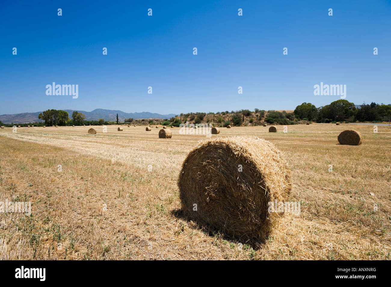 Local Countryside, Argaka, near Polis, North West Coast, Cyprus Stock Photo