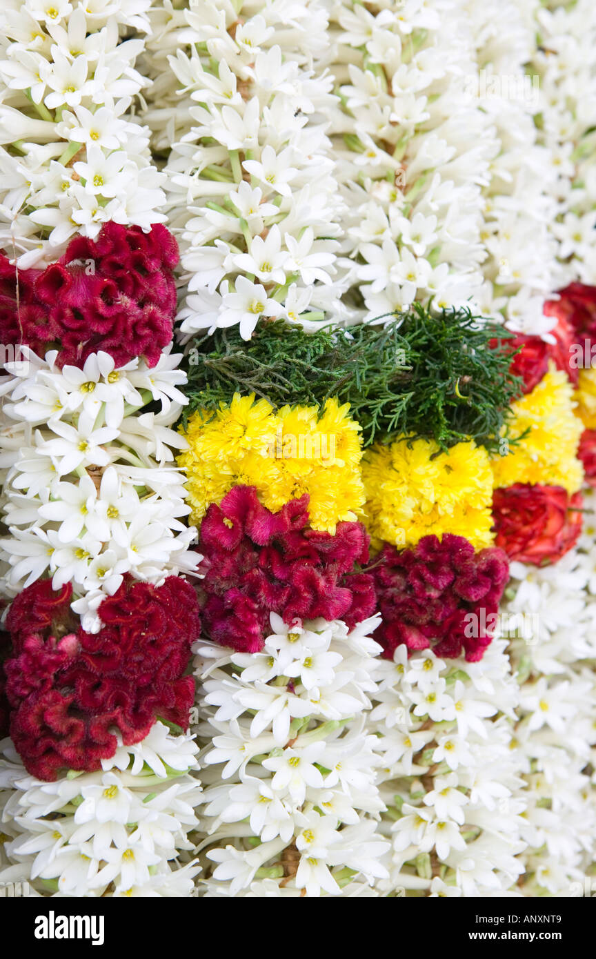 Puja offering hires stock photography and images Alamy